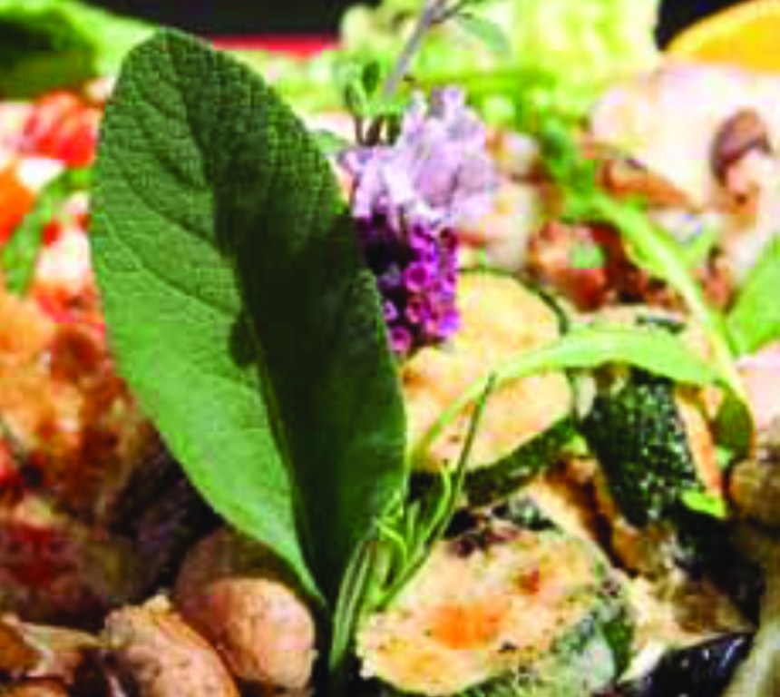 Spießvariationen aus unserer Cateringkarte